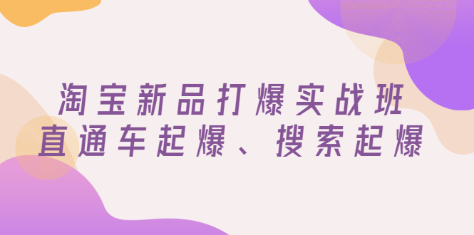 【副业项目3372期】淘宝新品打爆实战班（淘宝店铺如何增加流量和访客）-E创连盟