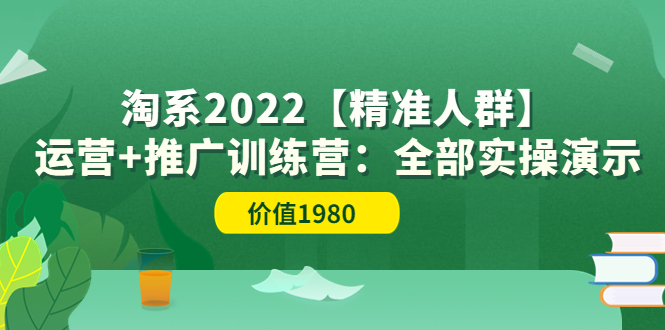 【副业项目3941期】淘系2022【精准人群】运营+推广训练营：全部实操演示-E创连盟