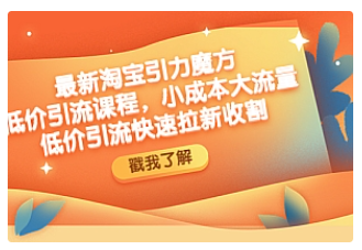 【副业项目4943期】最新淘宝引力魔方低价引流实操：小成本大流量，低价引流快速拉新收割-E创连盟
