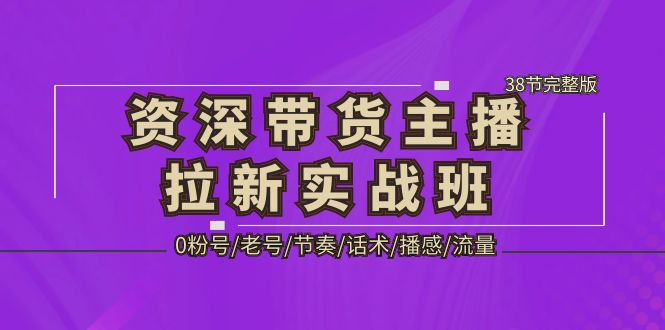 【副业项目5333期】资深·带货主播拉新实战班，0粉号/老号/节奏/话术/播感/流量-38节完整版-E创连盟