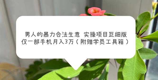 【副业项目5982期】男人的暴力合法生意实操项目巨细版：仅一部手机月入3w（附赠学员工具箱）-E创连盟