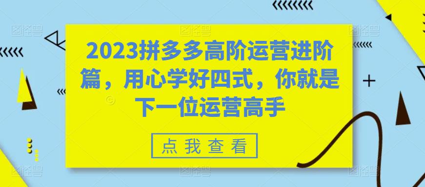 【副业项目6241期】2023拼多多高阶运营进阶篇，用心学好四式，你就是下一位运营高手-E创连盟