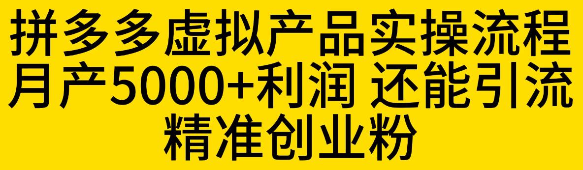 【副业项目6569期】拼多多虚拟产品实操流程，月产5000+利润，还能引流精准创业粉-E创连盟