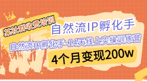 【副业项目7109期】自然流IP孵化手-14天线上实操训练营 4个月变现200w-E创连盟