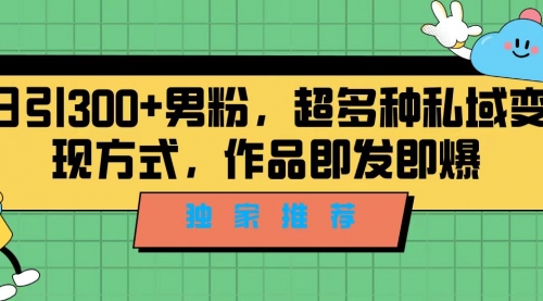 【副业项目7191期】独家推荐！日引300+男粉，超多种私域变现方式-E创连盟