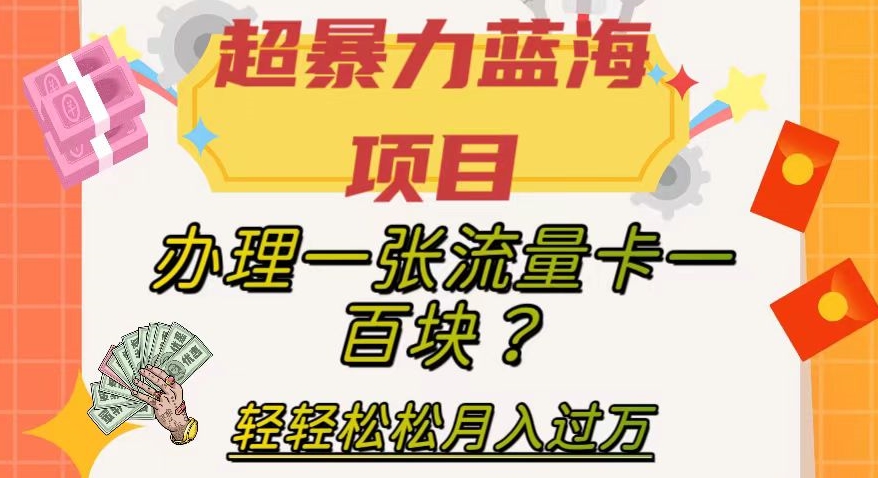 【副业项目8024期】超暴力蓝海项目，办理一张流量卡一百块？轻轻松松月入过万，保姆级教程【揭秘】-E创连盟