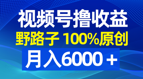 【副业8771期】视频号野路子撸收益，100%原创，条条爆款，月入6000＋-E创连盟