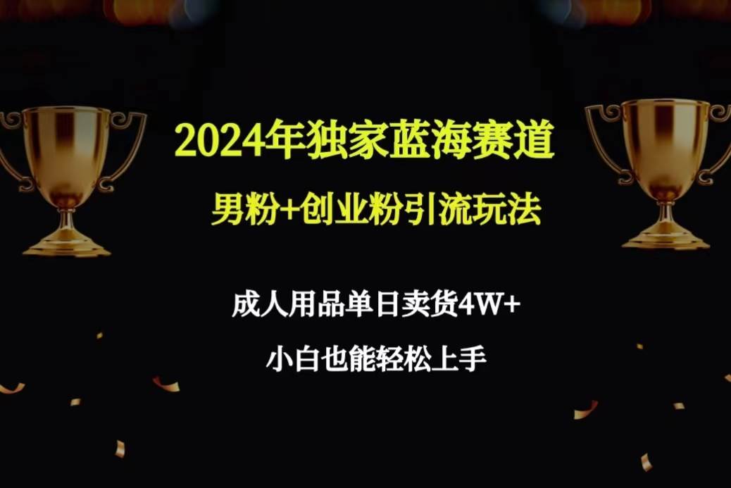 2024年独家蓝海赛道男粉+创业粉引流玩法，成人用品单日卖货4W+保姆教程-E创连盟