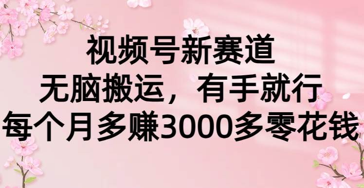 视频号新赛道，无脑搬运，有手就行，每个月多赚3000多零花钱-E创连盟