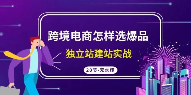 跨境电商怎样选爆品，独立站建站实战（20节高清无水印课）-E创连盟