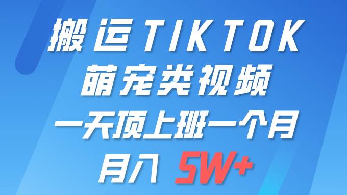 一键搬运TIKTOK萌宠类视频 一部手机即可操作 所有平台均可发布 轻松月入5W+-E创连盟