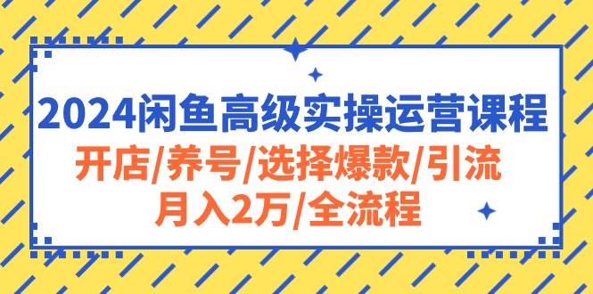 2024闲鱼高级实操运营课程：开店/养号/选择爆款/引流/月入2万/全流程-E创连盟