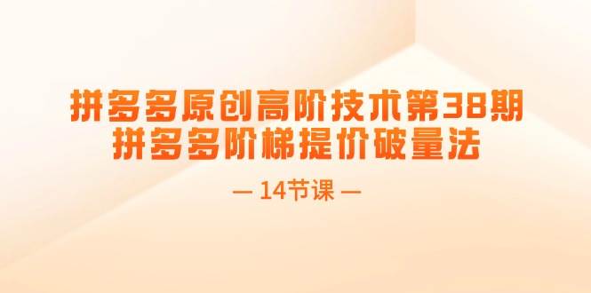 拼多多原创高阶技术第38期，拼多多阶梯提价破量法（14节课）-E创连盟
