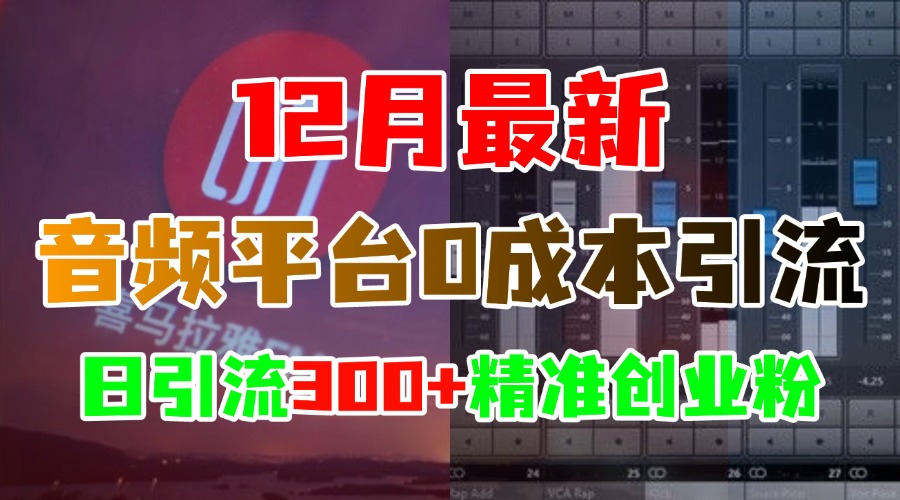 12月最新：音频平台0成本引流，日引300+精准创业粉-E创连盟